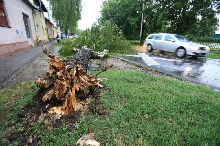 SLIKE KAOSA U OSIJEKU: Nevrijeme čupalo stabla, trgalo krovove, potapalo aute