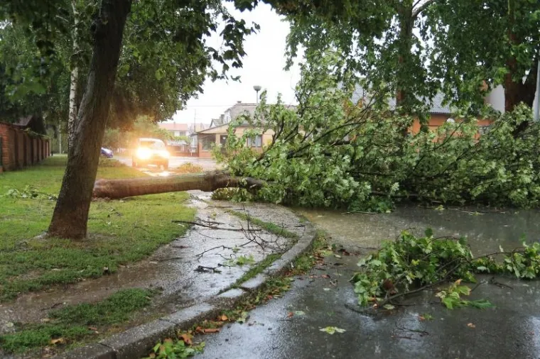 SLIKE KAOSA U OSIJEKU: Nevrijeme čupalo stabla, trgalo krovove, potapalo aute