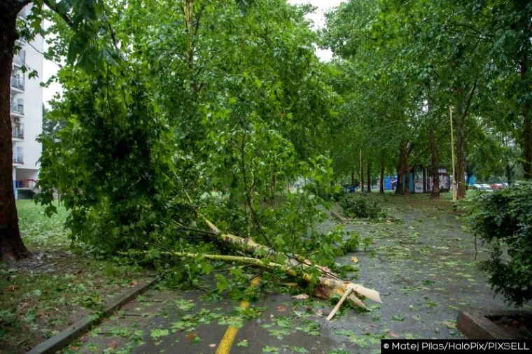 SLIKE KAOSA U OSIJEKU: Nevrijeme čupalo stabla, trgalo krovove, potapalo aute