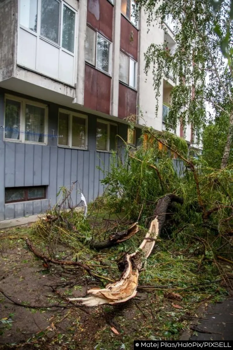 SLIKE KAOSA U OSIJEKU: Nevrijeme čupalo stabla, trgalo krovove, potapalo aute