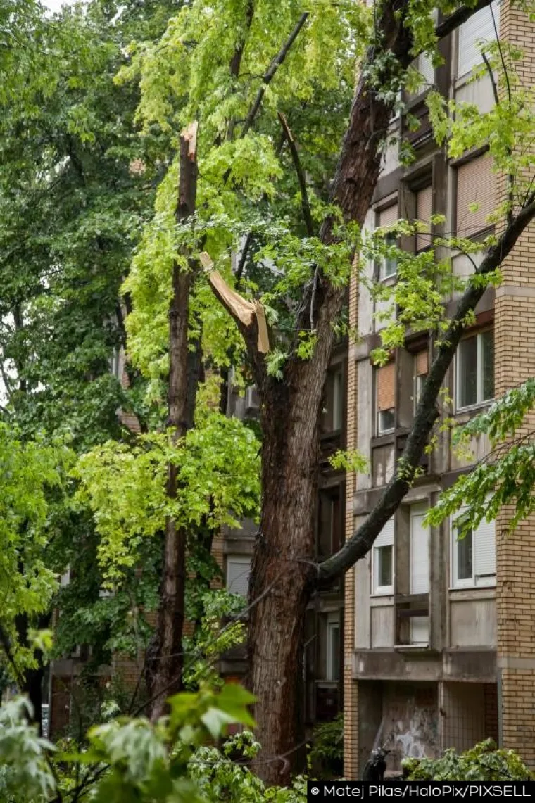 SLIKE KAOSA U OSIJEKU: Nevrijeme čupalo stabla, trgalo krovove, potapalo aute