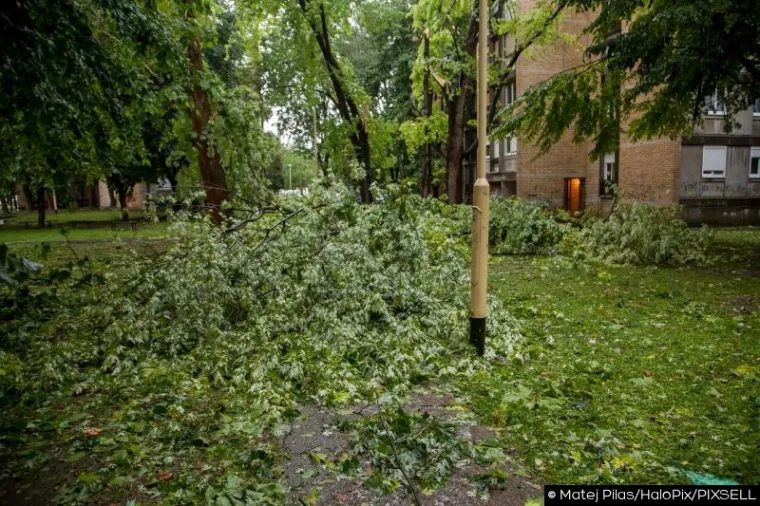 SLIKE KAOSA U OSIJEKU: Nevrijeme čupalo stabla, trgalo krovove, potapalo aute
