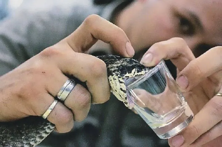 GROZNO VAM JE NA POSLU? Pogledajte na kakvim su sve poslovima zaglavili drugi, možda se predomislite