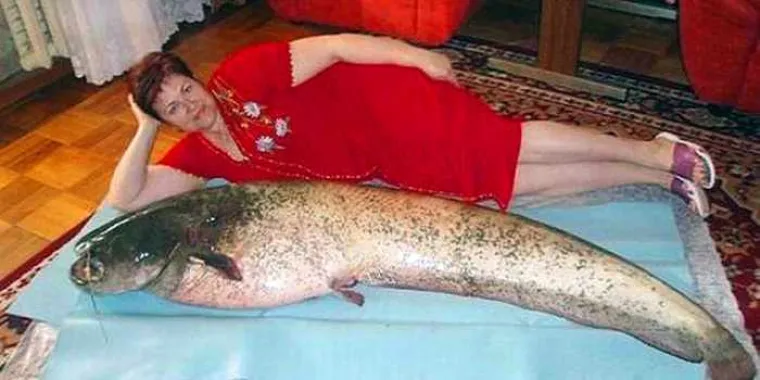 BISTE LI S NJIMA SEKS NA BRZAKA ILI VEZU? Njihovi poku&scaron;aji seksi profila ostavljaju bez riječi