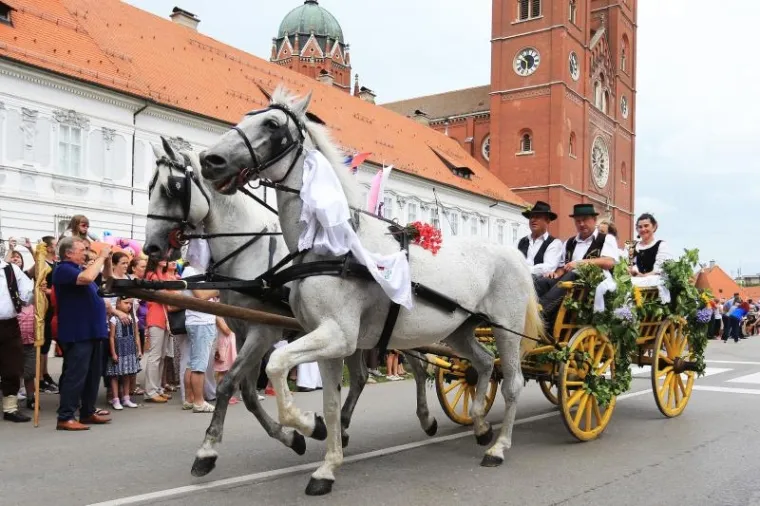 TRADICIJA SE NASTAVLJA: Održana svečana povorka povodom 50. Đakovačkih vezova