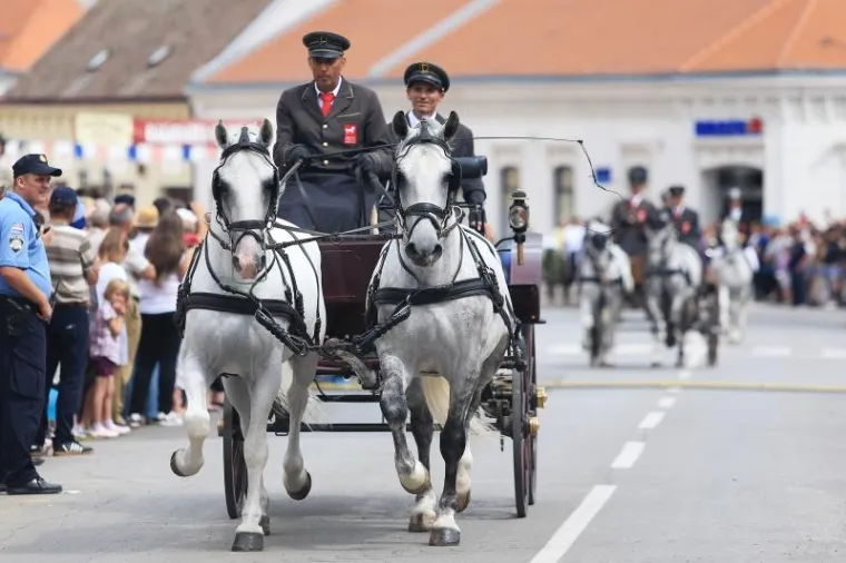 TRADICIJA SE NASTAVLJA: Održana svečana povorka povodom 50. Đakovačkih vezova