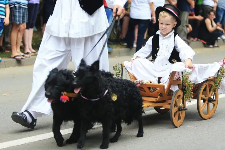 TRADICIJA SE NASTAVLJA: Održana svečana povorka povodom 50. Đakovačkih vezova