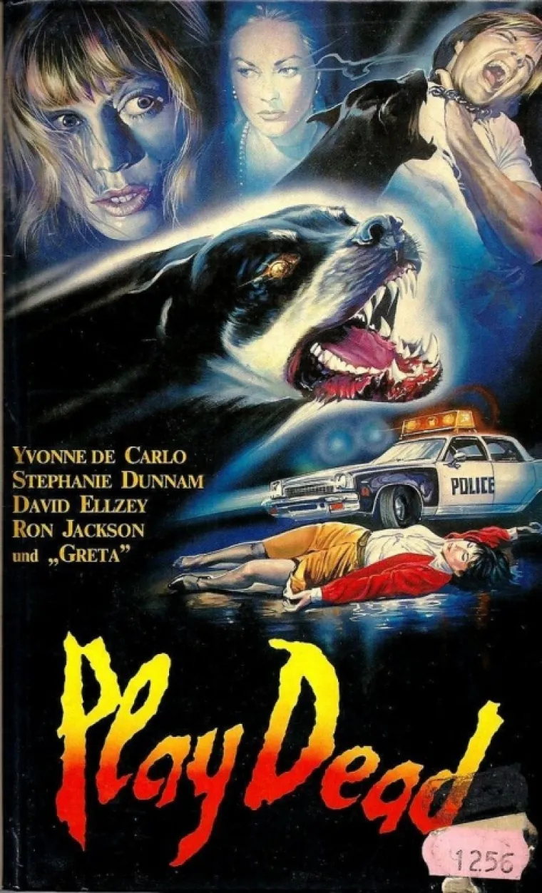 ZLATNO DOBA NJEMAČKE NAPALJENOSTI: Pogledajte ove genijalne naslovnice videokaseta