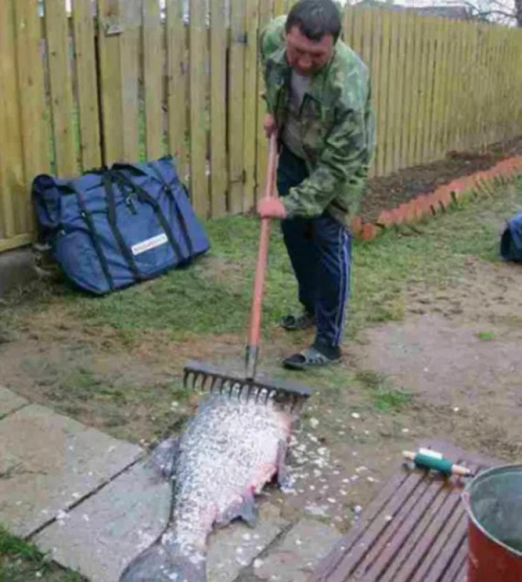 ISTOČNO OD RAJA: U najvećoj zemlji na svijetu stvari su potpuno izmakle kontroli
