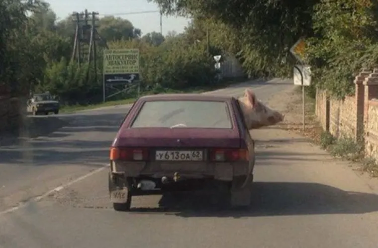 ISTOČNO OD RAJA: U najvećoj zemlji na svijetu stvari su potpuno izmakle kontroli