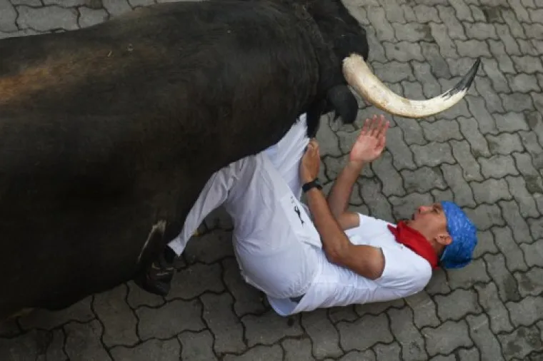 u pravilu su bikovi ti koji su ubijeni