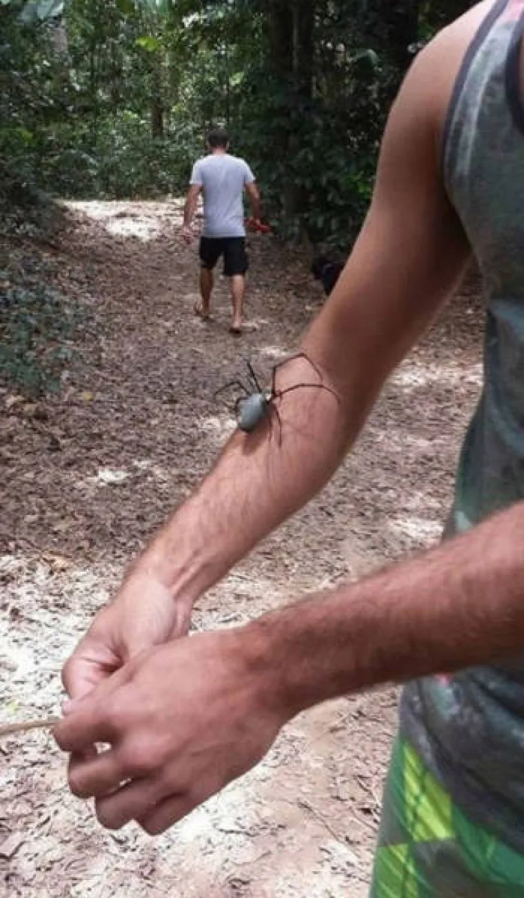 AUSTRALCIMA JE TO SVAKODNEVICA, DRUGIMA JE NOĆNA MORA: Nije za one slabog srca