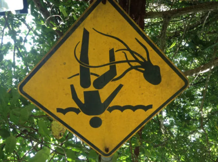 AUSTRALCIMA JE TO SVAKODNEVICA, DRUGIMA JE NOĆNA MORA: Nije za one slabog srca