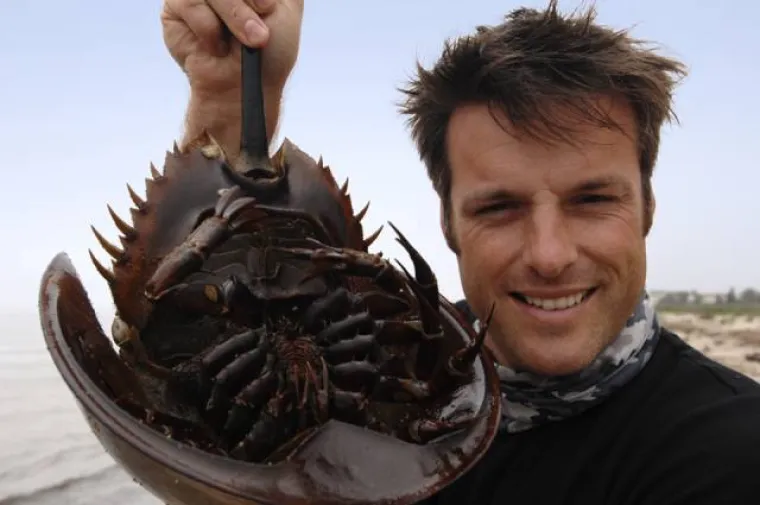 AUSTRALCIMA JE TO SVAKODNEVICA, DRUGIMA JE NOĆNA MORA: Nije za one slabog srca