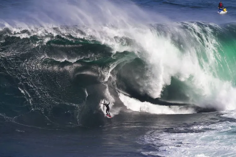 AUSTRALCIMA JE TO SVAKODNEVICA, DRUGIMA JE NOĆNA MORA: Nije za one slabog srca