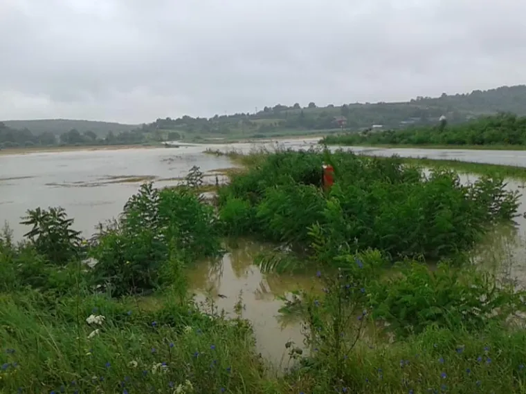 Najvi&scaron;e oborina u Hrvatskoj palo je u na&scaron;ičkom kraju. Nakon cijele noći pune oborine poplave su uni&scaron;tile kuće i potopile neke ceste.