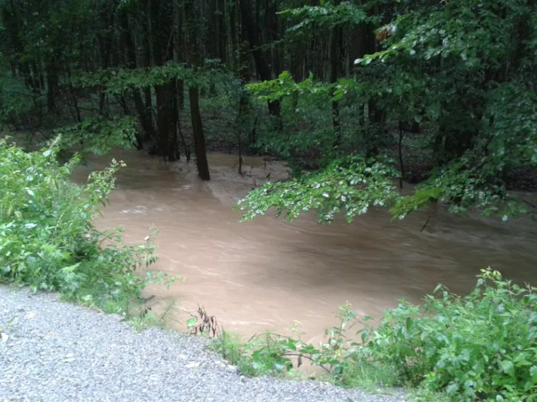 DRAMATIČNE FOTOGRAFIJE: Poplava u Na&scaron;icama nakon obilne ki&scaron;e