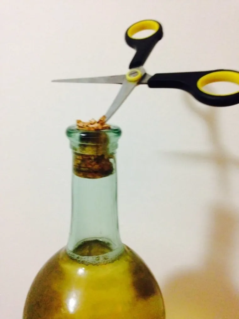 Vino može biti pravi užitak za sladokusce, no ne znaju se svi ba&scaron; služiti njime. Bilo da ne znaju otvoriti bocu ili ga poslužuju u ča&scaron;ama koje nisu predviđene za to, užitak konzumiranja vina može jako brzo prerasti u mučno iskustvo. U galeriji smo okupili neke od takvih nezgoda s vinima.