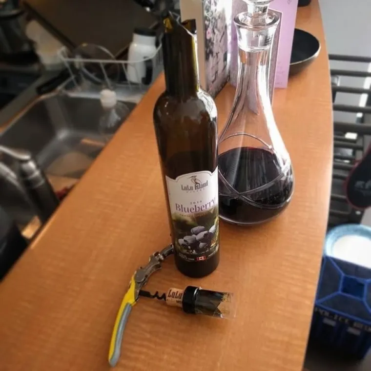 NIJE VINO BA&Scaron; ZA SVAKOG PRIMITIVCA: Pogledajte kako su uspjeli upropastiti vrhunski užitak