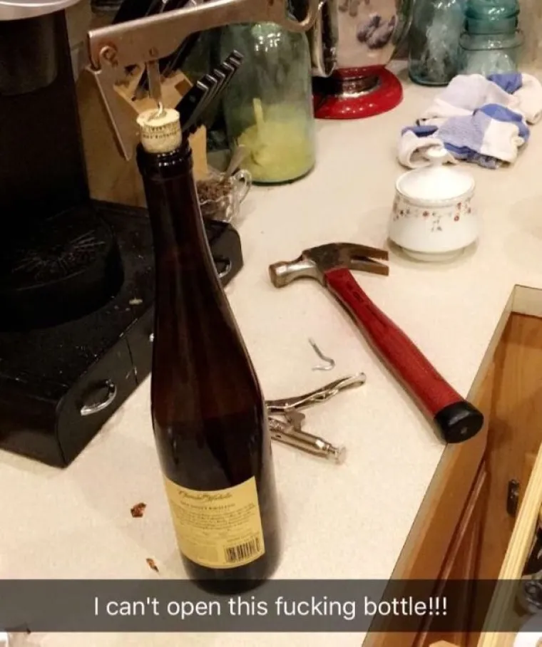 NIJE VINO BA&Scaron; ZA SVAKOG PRIMITIVCA: Pogledajte kako su uspjeli upropastiti vrhunski užitak