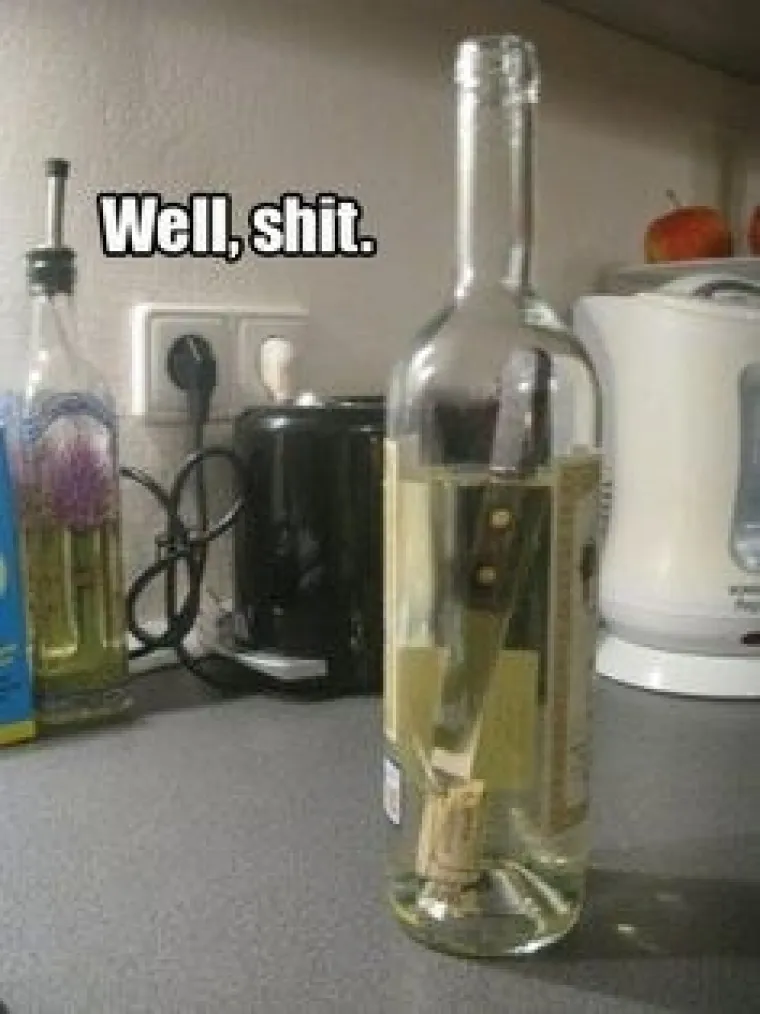 NIJE VINO BA&Scaron; ZA SVAKOG PRIMITIVCA: Pogledajte kako su uspjeli upropastiti vrhunski užitak