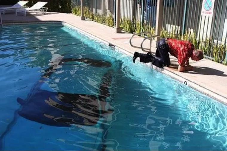 MAJSTORI SLIJETANJA, ALI NE I PARKIRANJA: Kako im je uspjelo ovako zavr&scaron;iti?!