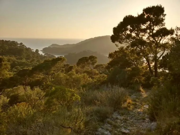 VELIKA LJETNA AKCIJA NET.HR-A: Sve ljepote Lastova na dlanu