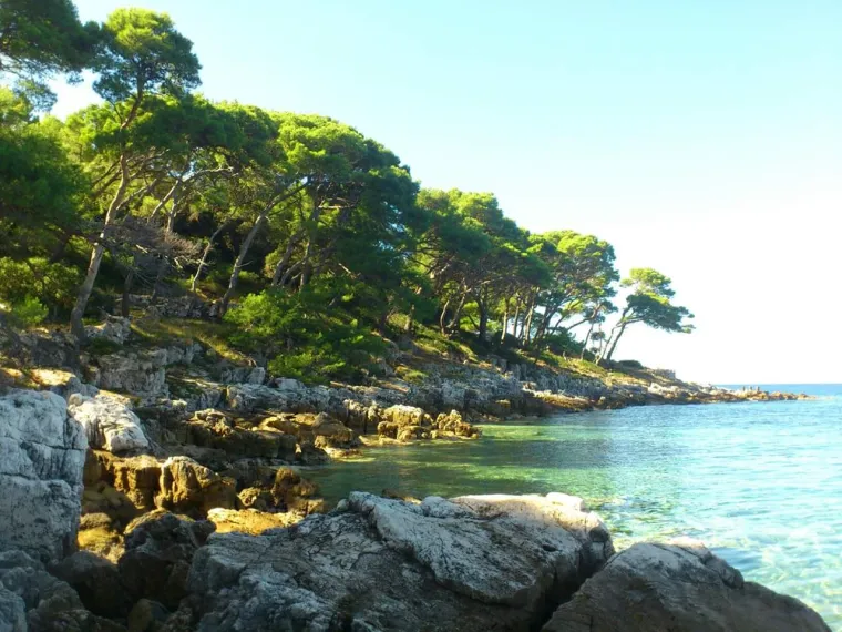 VELIKA LJETNA AKCIJA NET.HR-A: Sve ljepote Lastova na dlanu