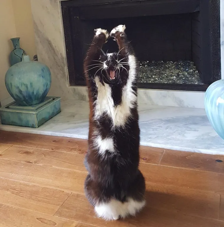 Sutradan je to učinio ponovno, a onda je snimio jo&scaron; fotografija.