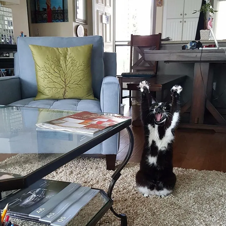 Poku&scaron;ava li letjeti?