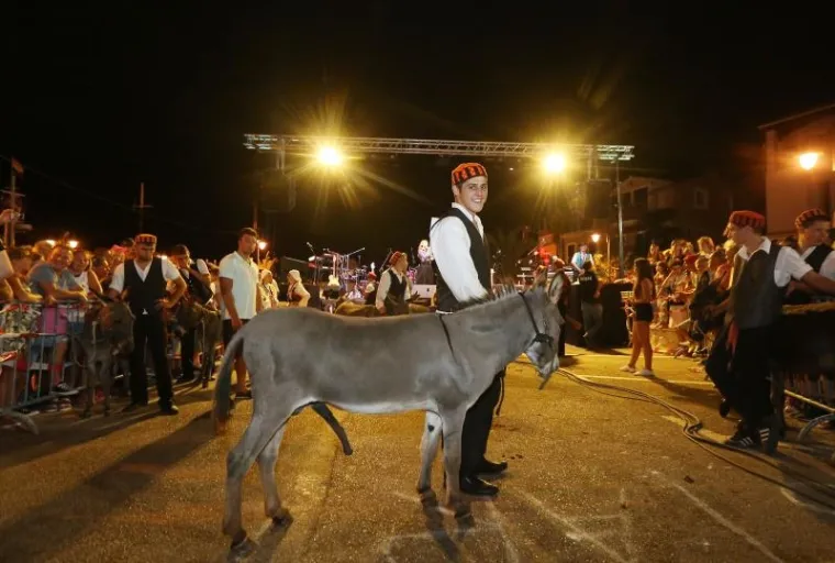 ŽESTOKA BITKA: Tisuće na magarećoj utrci u Tribunju, Renault 4 odnio pobjedu