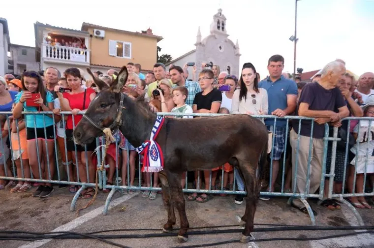 U Tribunju se u ponedjeljak okupilo nekoliko tisuća ljudi kako bi pratili 49. magareću utrku.