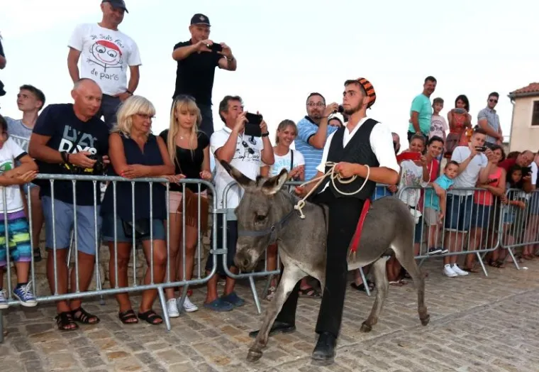 U utrci je sudjelovalo 12 jahača, odnosno 12 njihovih magarećih prijatelja