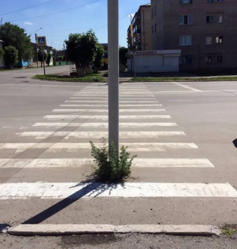 RUSIJA JE TOALETNI OTVOR U DRUGU DIMENZIJU: &Scaron;to se to događa kod njih, kako je to moguće?