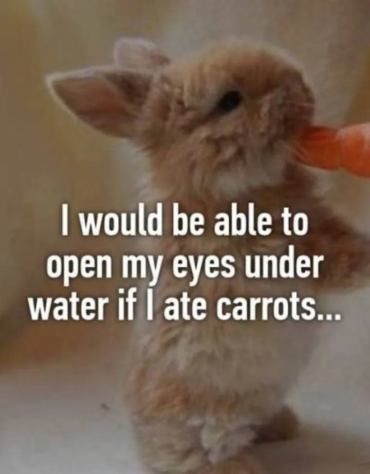 Moći ću gledati ispod vode ako jedem mrkve.