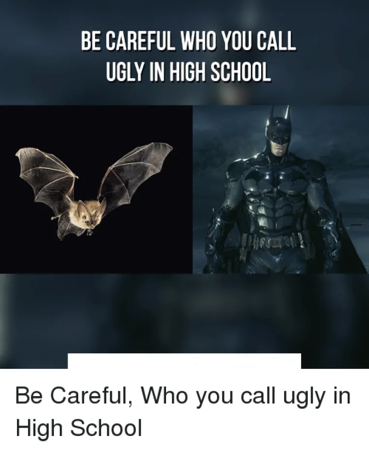 RUGALI SU IM SE DA SU RUŽNI U SREDNJOJ &Scaron;KOLI: Požalili kad su vidjeli kako izgledaju danas