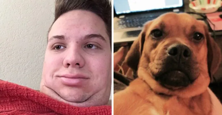 MOŽETE LI ODOLJETI? Ljudi prona&scaron;li svoje pseće dvojnike i to je ne&scaron;to najslađe na svijetu!