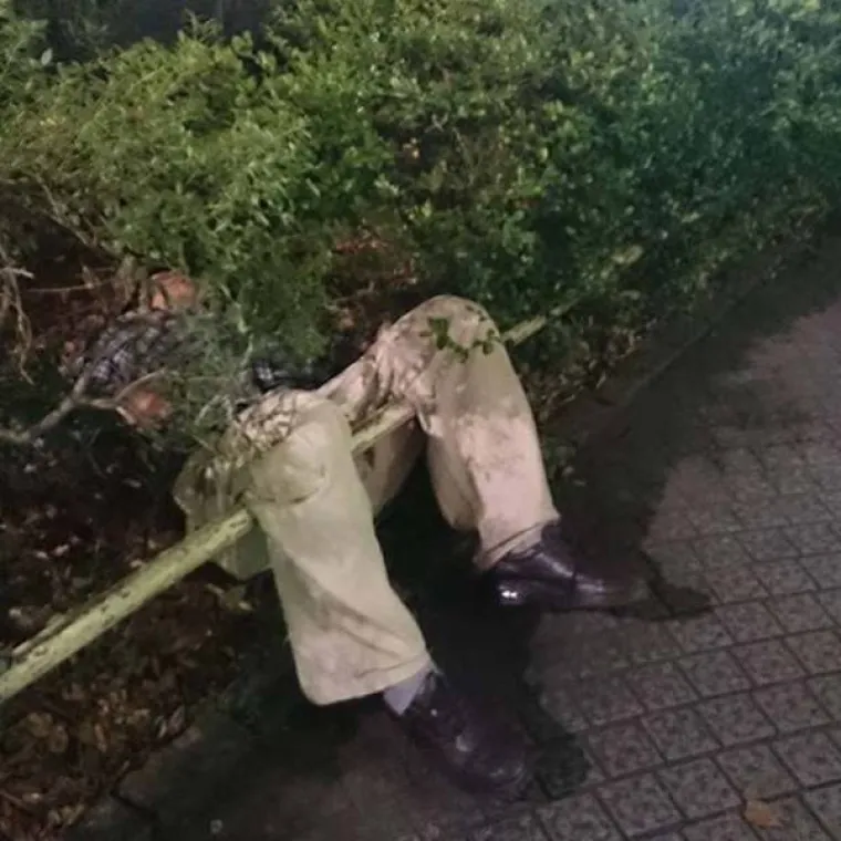 ALKOHOL POTPUNO POKOSIO JAPANCE: Izgleda da se ba&scaron; ne znaju nositi s njim