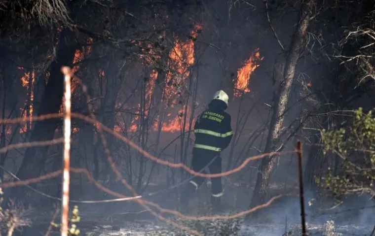 VELIKI POŽAR KOD &Scaron;IBENIKA: Gori gusta borova &scaron;uma, vatra je zaprijetila i kućama