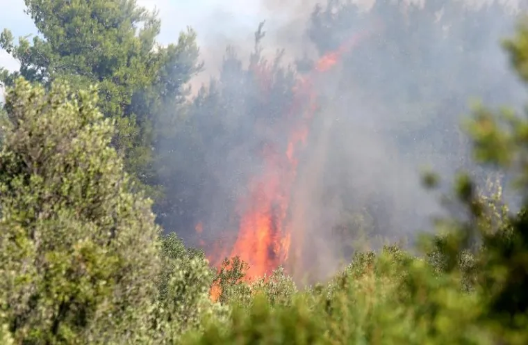 VELIKI POŽAR KOD &Scaron;IBENIKA: Gori gusta borova &scaron;uma, vatra je zaprijetila i kućama