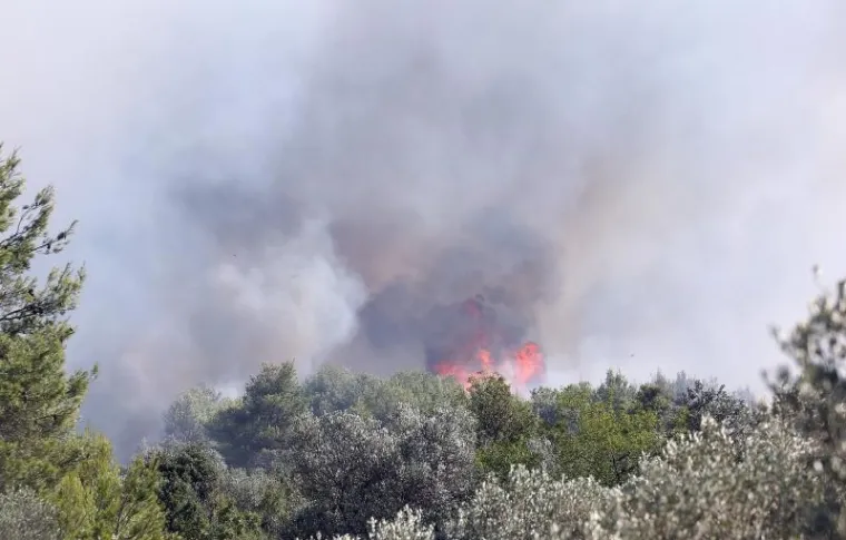 VELIKI POŽAR KOD &Scaron;IBENIKA: Gori gusta borova &scaron;uma, vatra je zaprijetila i kućama