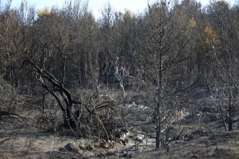 Odmor heroja: Iscrpljeni vatrogasci predahnuli nakon borbe s vatrenom stihijom