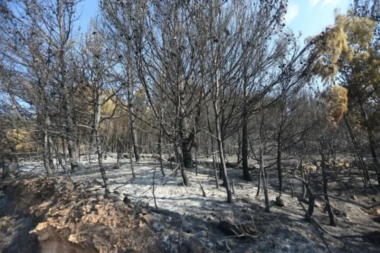 Odmor heroja: Iscrpljeni vatrogasci predahnuli nakon borbe s vatrenom stihijom