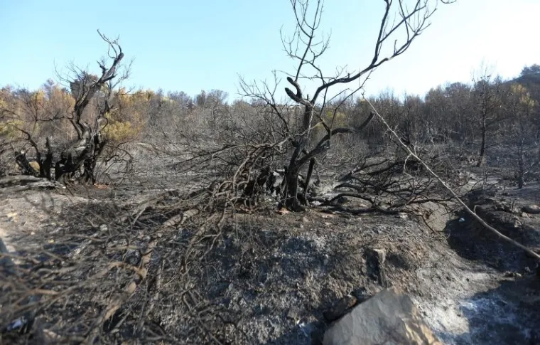 Odmor heroja: Iscrpljeni vatrogasci predahnuli nakon borbe s vatrenom stihijom
