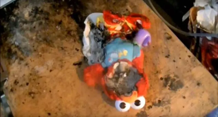 Elmo