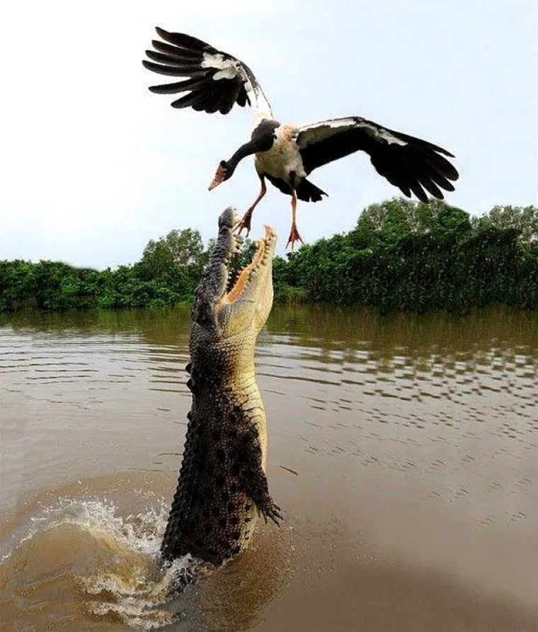 IMAJU VI&Scaron;E SREĆE NEGO PAMETI: Snimljeni u pravom trenutku, kozmička pravda je zadovoljena