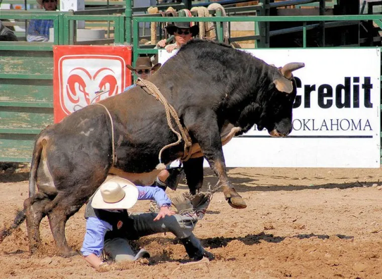 IMAJU VI&Scaron;E SREĆE NEGO PAMETI: Snimljeni u pravom trenutku, kozmička pravda je zadovoljena