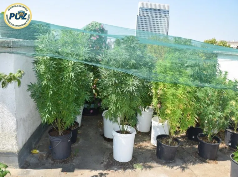 Osumnjičena je zadržana u pritvoru, a protiv nje je podnesena kaznena prijava.