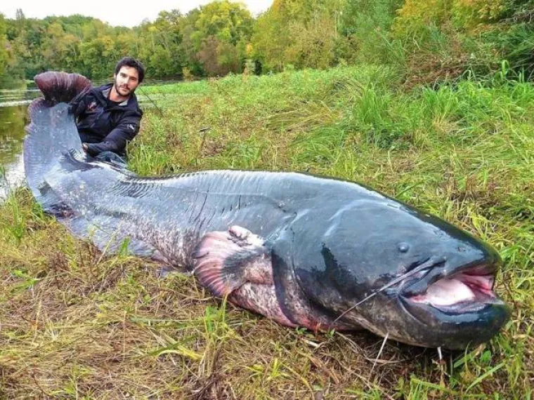 STVARNE NEMANI KOJE VAM NEĆE DATI MIRA: Čudovišta koja nisu ispala iz hororca nego obitavaju među nama