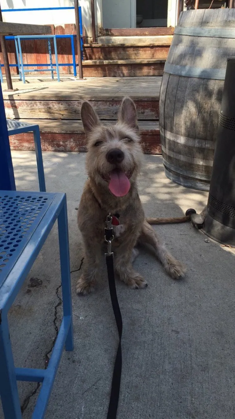 DOSTA JE BILO POLITIKE I NEGATIVE! Razveselite se uz njihove preslatke nju&scaron;kice